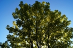 DSC02235.jpg