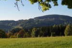 DSC02249.jpg