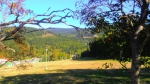 PA030013.jpg