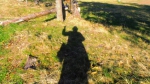 PA030016.jpg