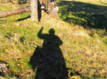 PA030019.jpg