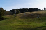 DSC02278.jpg