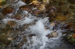 DSC02283.jpg
