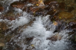 DSC02286.jpg