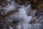 DSC02288.jpg