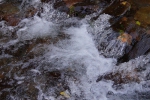 DSC02290.jpg
