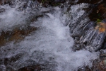 DSC02292.jpg