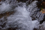 DSC02293.jpg