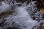 DSC02294.jpg