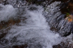 DSC02295.jpg