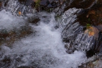 DSC02298.jpg