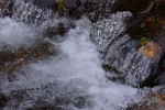 DSC02299.jpg