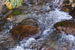 DSC02300.jpg