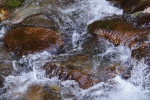 DSC02302.jpg