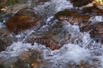 DSC02304.jpg