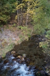 DSC02306.jpg