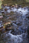 DSC02309.jpg