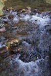 DSC02310.jpg