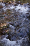 DSC02314.jpg