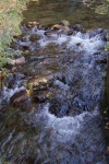 DSC02316.jpg