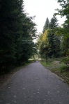 DSC02318.jpg