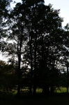 DSC02323.jpg