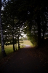 DSC02325.jpg