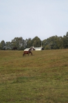 DSC02326.jpg