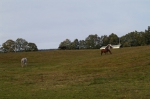 DSC02327.jpg