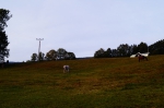 DSC02329.jpg