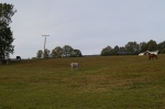 DSC02332.jpg