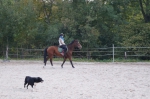 DSC02333.jpg