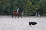 DSC02334.jpg