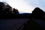 DSC02335.jpg