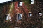 DSC02337.jpg