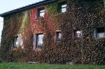 DSC02340.jpg