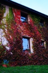 DSC02356.jpg