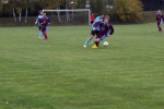DSC02735.jpg