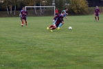 DSC02737.jpg