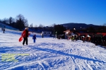 DSC02407.jpg