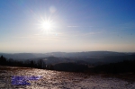 DSC02594.jpg