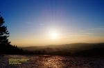 DSC02732.jpg