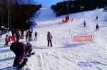 DSC03395.jpg