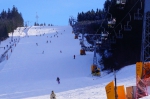 DSC03396.jpg