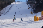 DSC03401.jpg