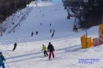DSC03403.jpg