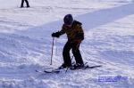 DSC03425.jpg