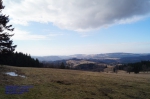 DSC04785.jpg