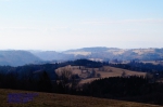DSC04787.jpg