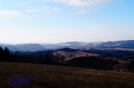 DSC04788.jpg